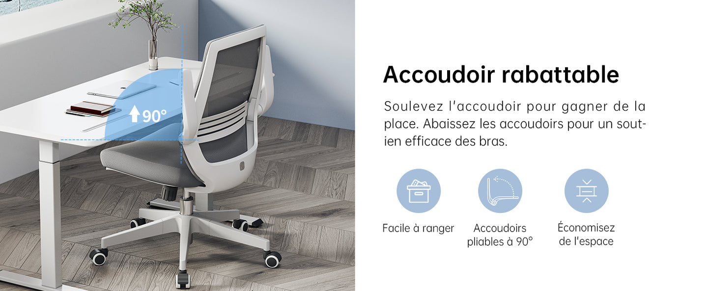 Chaise de Bureau rotative à 360 °, Siege de Bureau Ergonomique en Maille avec Support Lombaire Confortable