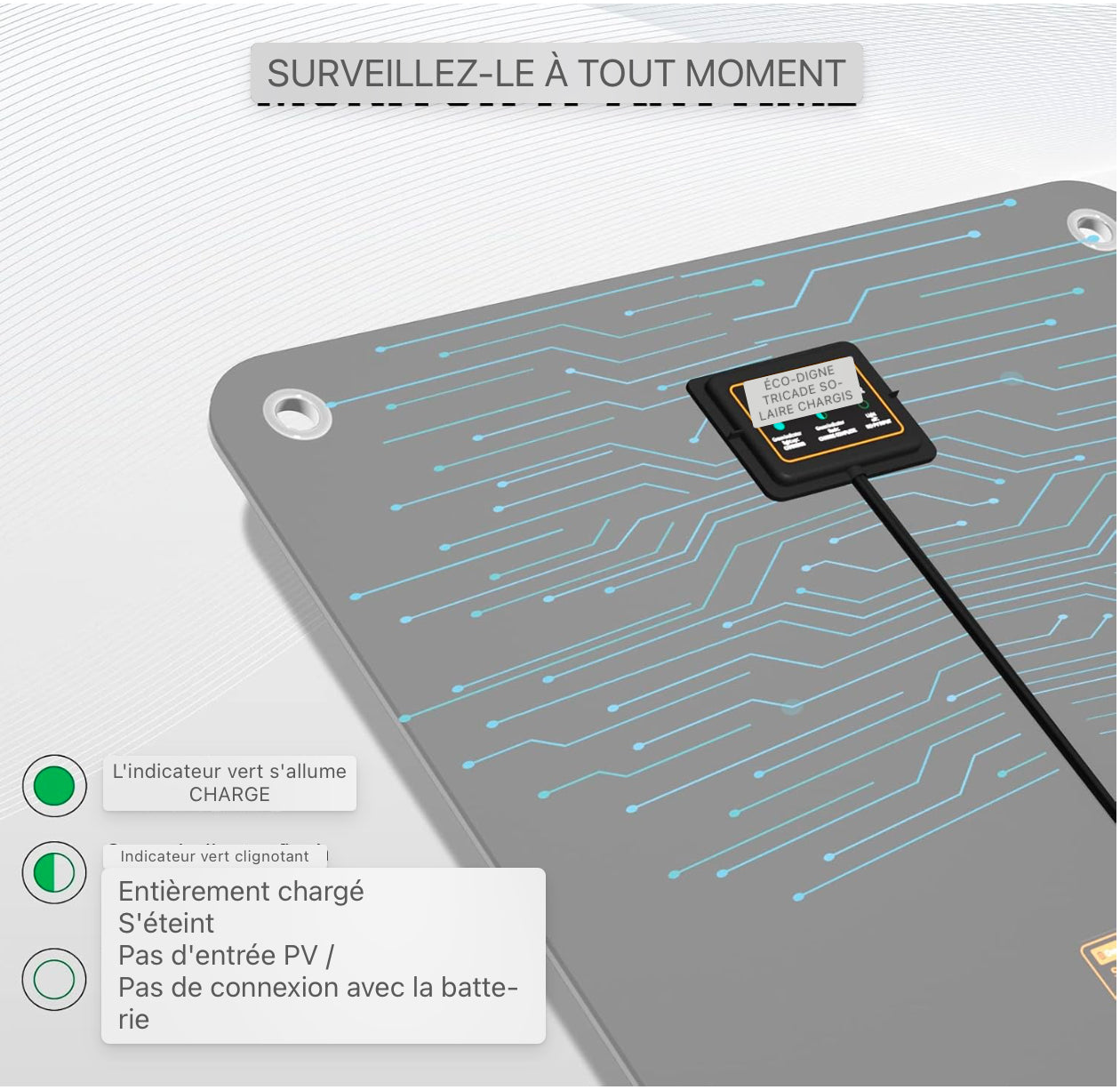 12 Volt 10W Chargeur de batterie de voiture solaire, Charge d'entretien de panneau solaire, Alimentation de secours de panneau solaire portable avec adaptateur de pinces crocodile pour voiture, bateau, moto, camping-car, camion