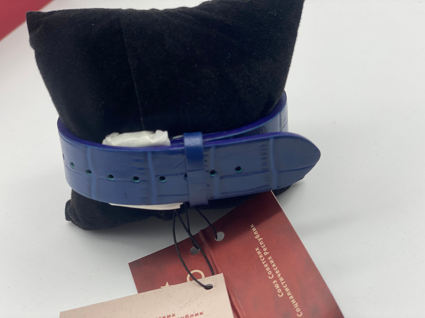 CCCP Monino CP-7025-01 Montre pour homme avec bracelet en cuir véritable Bleu