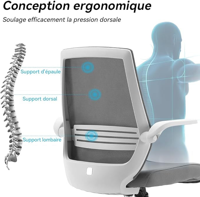Chaise de Bureau rotative à 360 °, Siege de Bureau Ergonomique en Maille avec Support Lombaire Confortable
