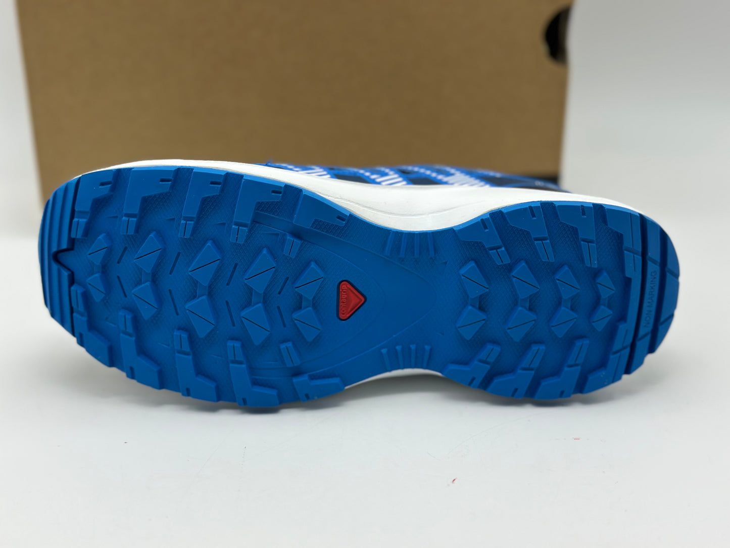 Salomon Mixte XA Pro V8 Chaussures de randonnée