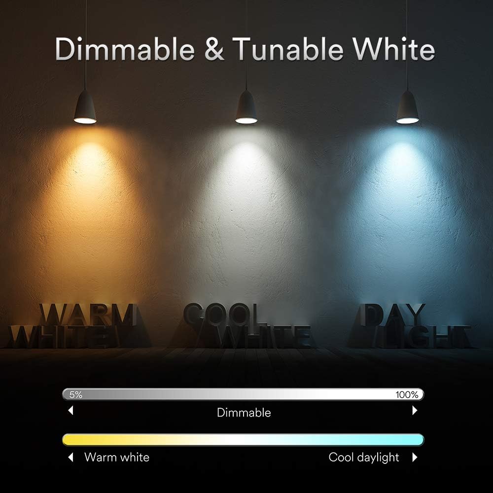 Ampoule Connectee E27,iLintek Ampoule LED Intelligente 13W (100 W équivalentes),G95 Bluetooth Lumiere de Controle,Couleur RGB+ Blanc Dimmable(2700K-6000K),Compatible avec Alexa,Google Home,IFTTT,2PCS