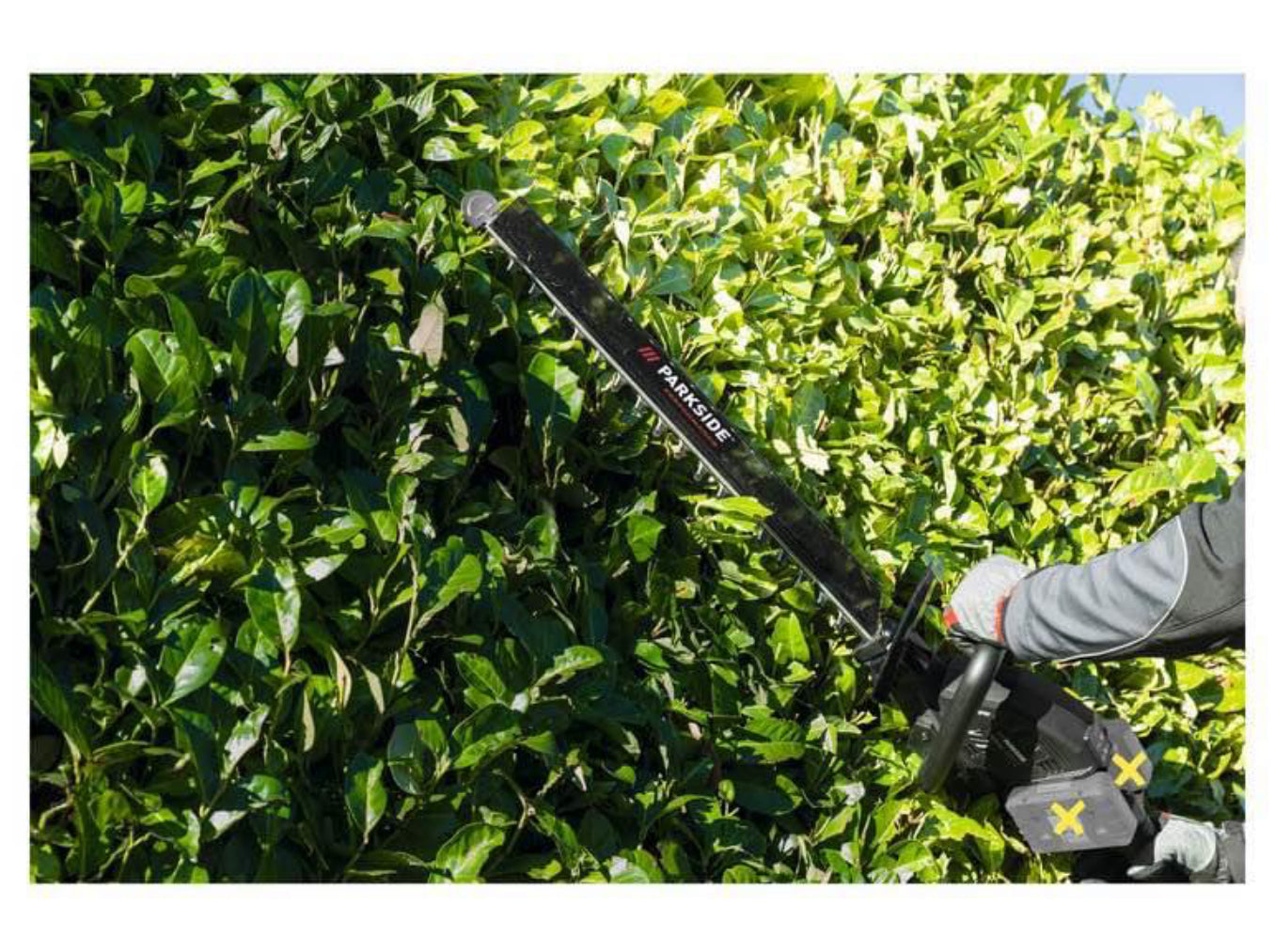 PARKSIDE PERFORMANCE® Taille-haies sans fil PPHSA 40-Li B2, 40 V neuf