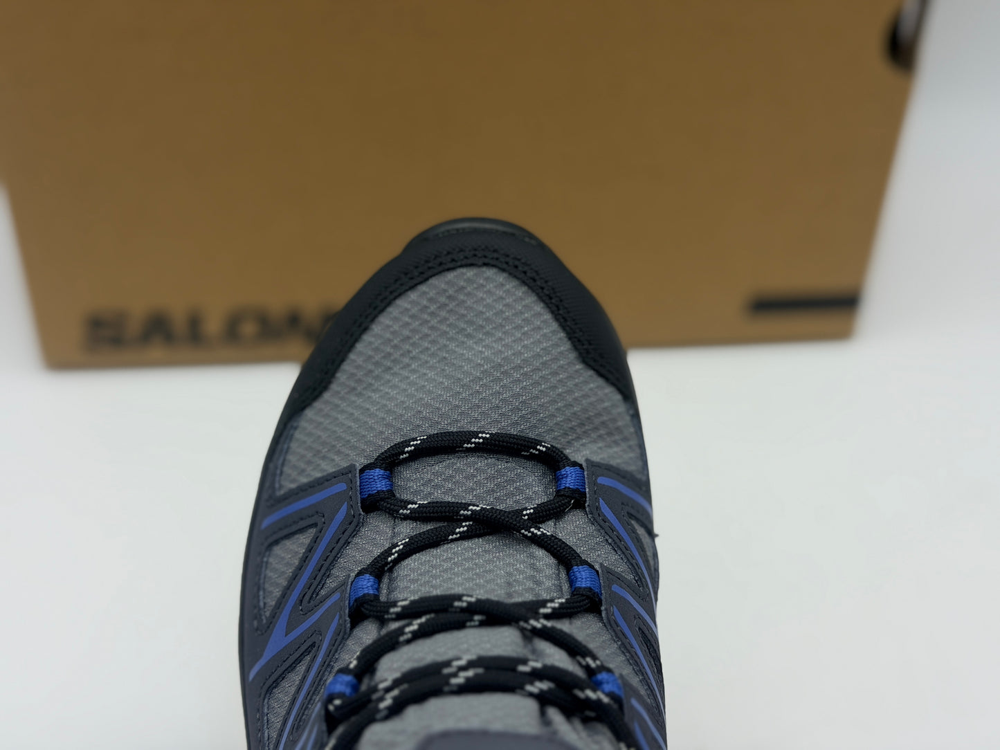 Chaussures de trail Salomon DAINTREE MID GTX