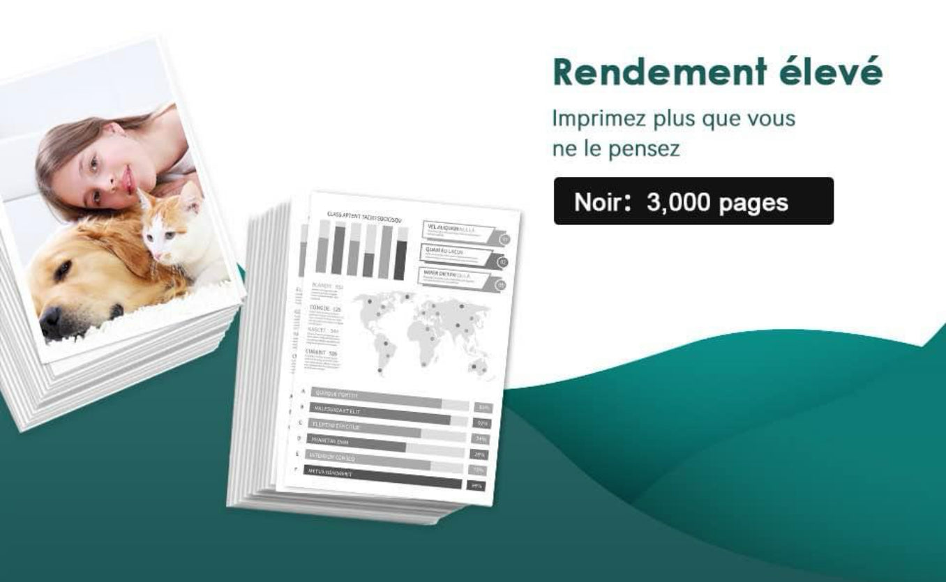 Cartouche de Toner Replacement pour Brother TN2410 Compatible pour Brother ( 2pces) neuf