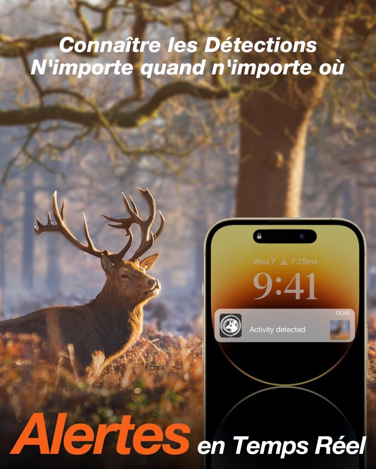 iZEEKER Caméra de Chasse 4G LTE, Caméra Chasse 2K avec 940 nm LED Invisibles, Alerte en Temps réel Grand Angle 120 ° Temps de déclenchement 0,1 s IP66 étanche avec Carte SIM et Carte SD 32 Go [Classe énergétique A+++]