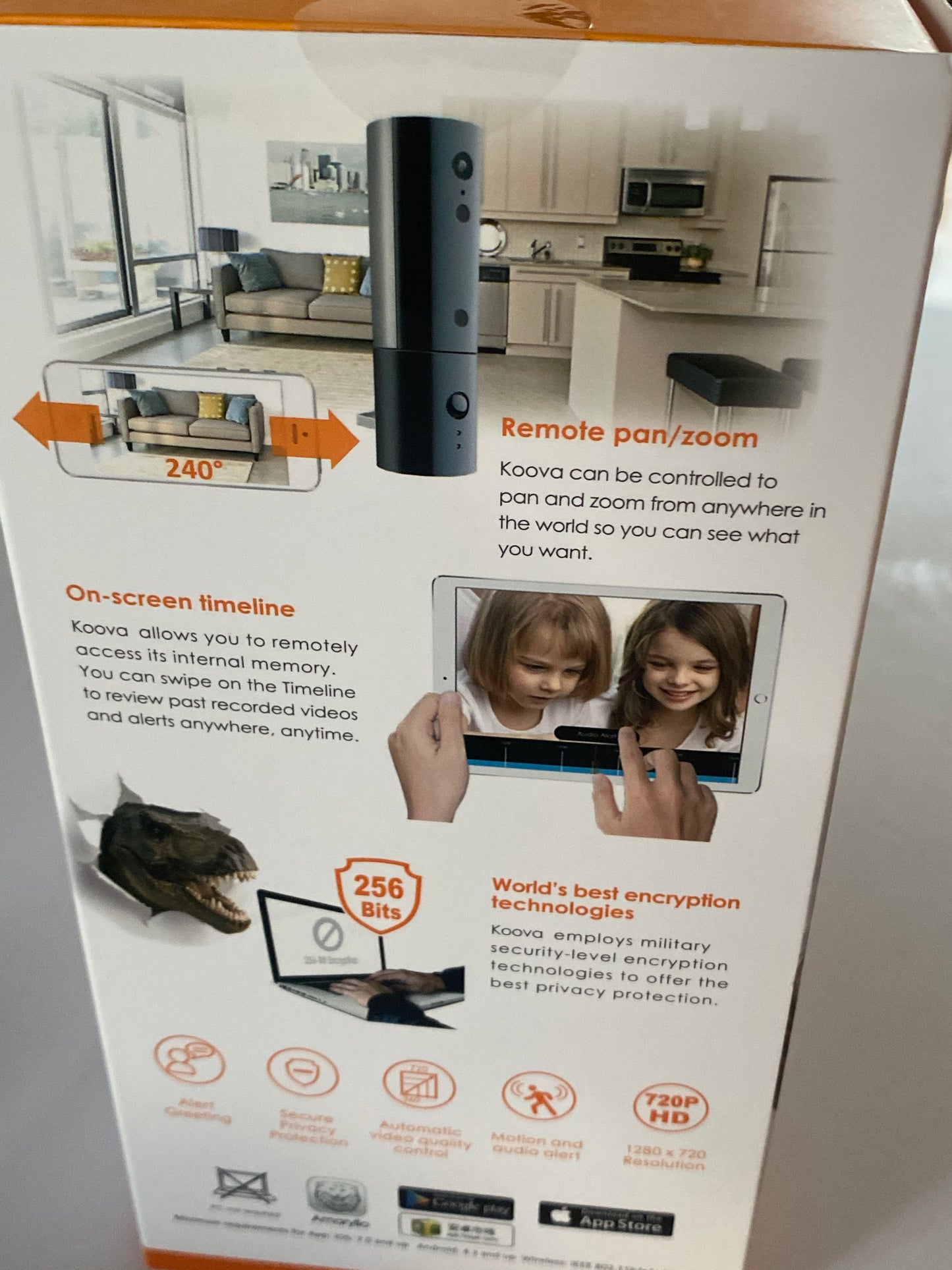 Camera de surveillance ultra intelligente Amaryllo HD Patio Blanc et noir détection du bruit