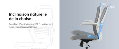 Chaise de Bureau rotative à 360 °, Siege de Bureau Ergonomique en Maille avec Support Lombaire Confortable