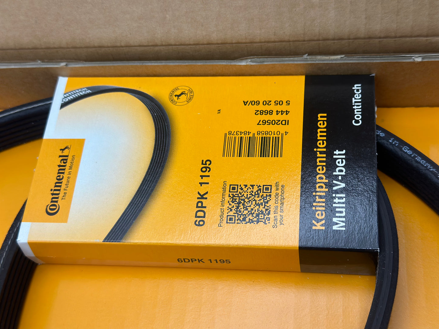 CONTITECH 6DPK1195D1 Jeu de courroies trapézoïdales à nervures pour Ford, Seat, Volkswagen