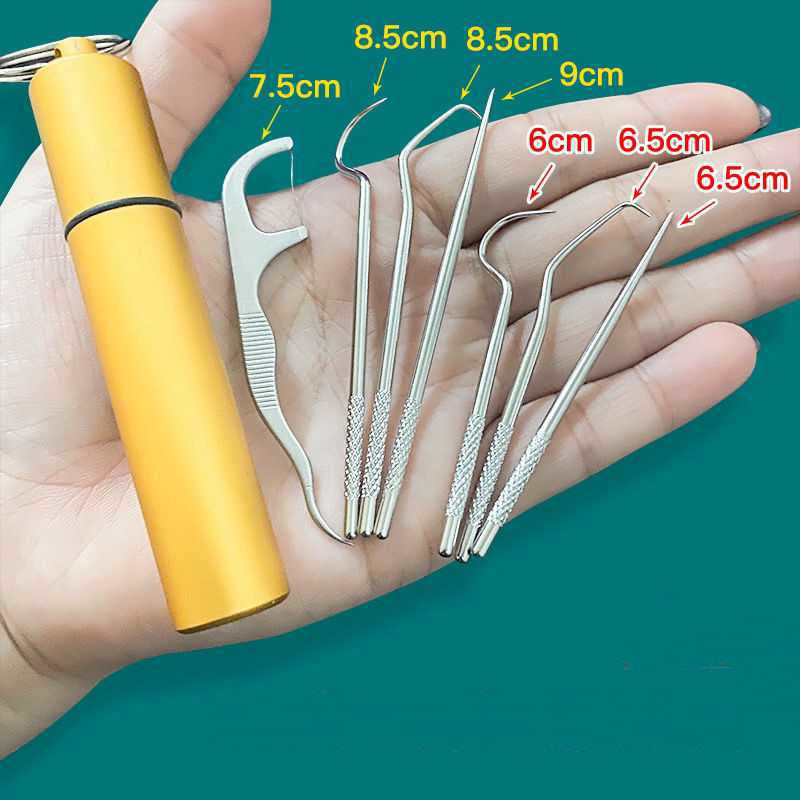 Kit d'Hygiène Dentaire "Elite-Clean" – 7 Cure-Dents en Acier Inoxydable 304 & Étui de Transport