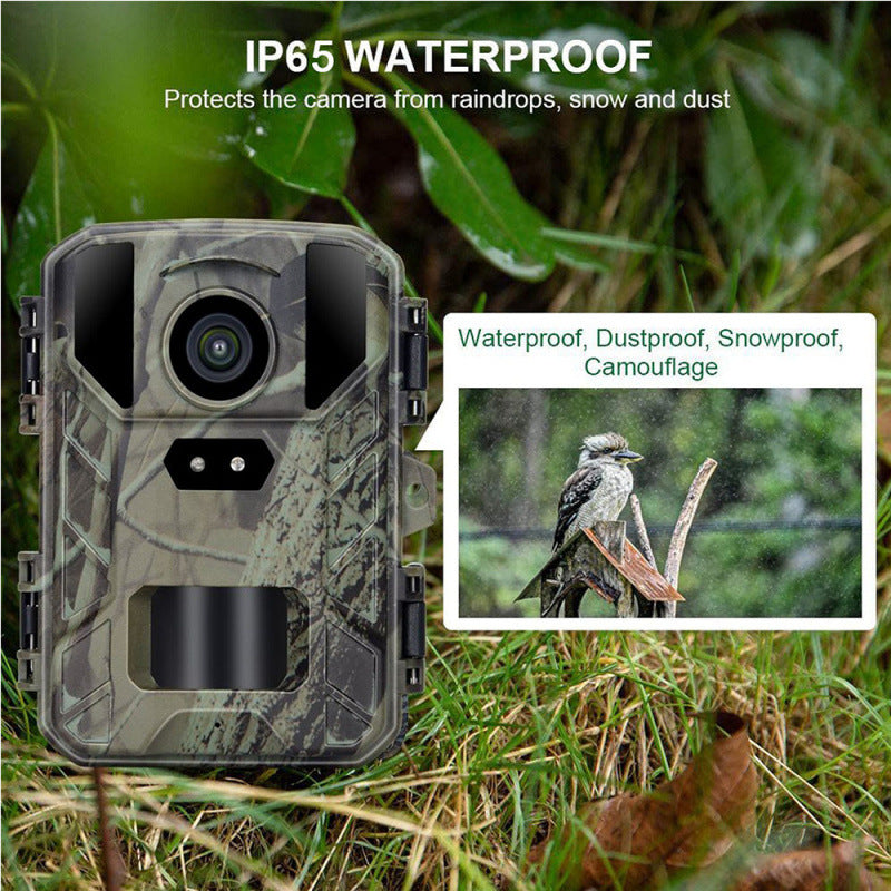 Caméra infrarouge étanche avec détection de mouvement, caméra de chasse