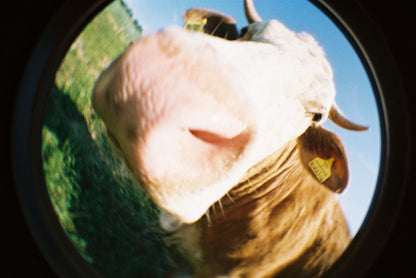 Lomography - Fisheye 2 Classique Noir