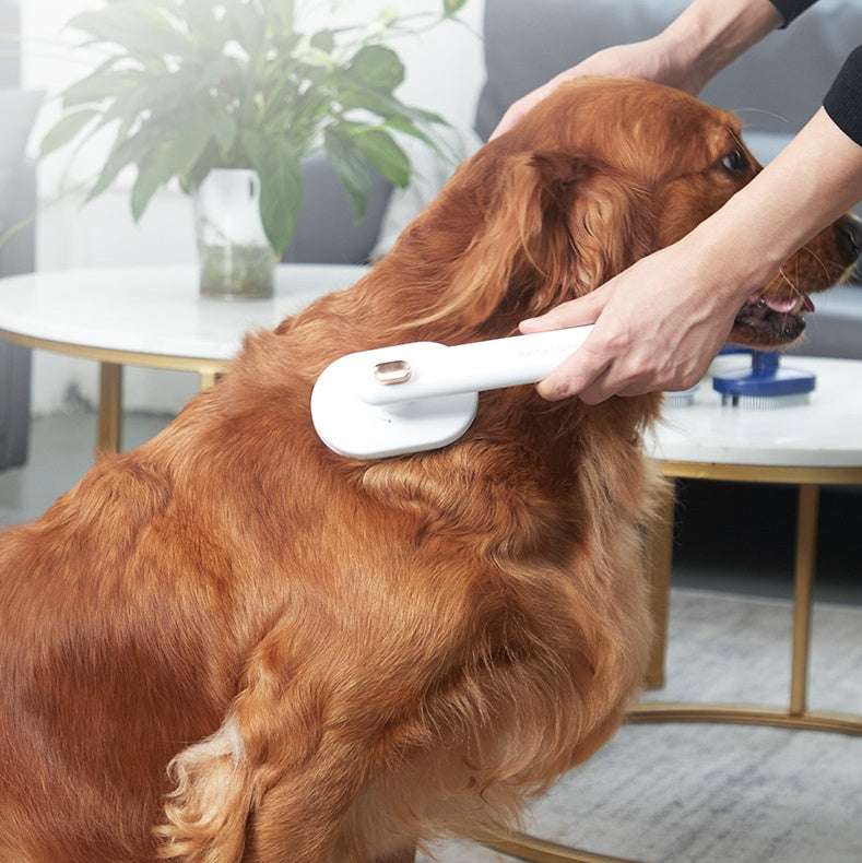 Peigne pour animaux de compagnie à enlever les poils flottants