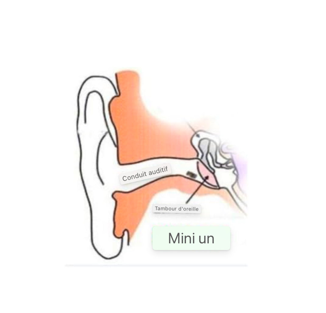 Mini écouteur espion écouteur invisible tricheur écouteur couvert pour téléphone portable