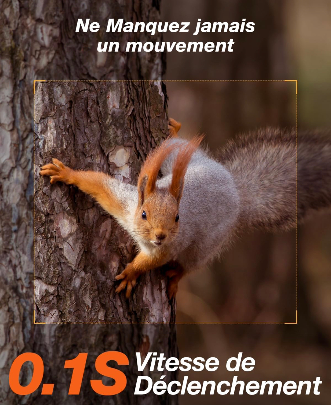 iZEEKER Caméra de Chasse 4G LTE, Caméra Chasse 2K avec 940 nm LED Invisibles, Alerte en Temps réel Grand Angle 120 ° Temps de déclenchement 0,1 s IP66 étanche avec Carte SIM et Carte SD 32 Go [Classe énergétique A+++]