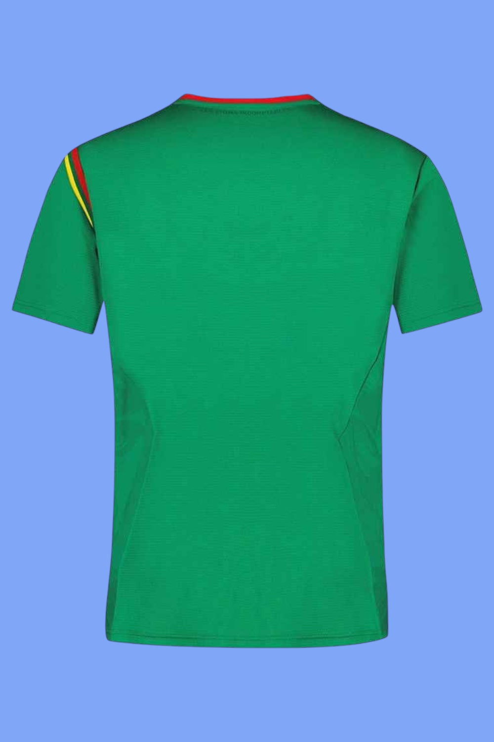 Maillot de Cameroun LE COQ SPORTIF