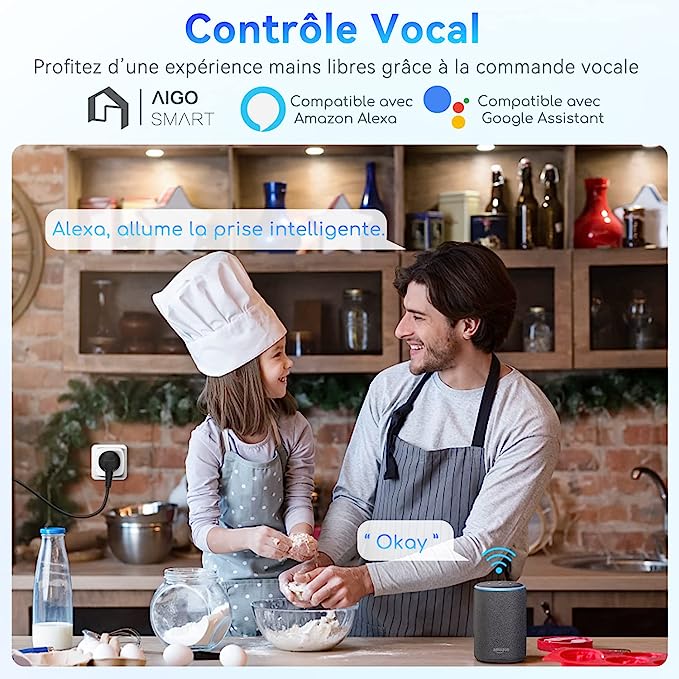 Prise Connectée, Mini Smart Power Plug Compatible avec Alexa et Google Home wifi neuf