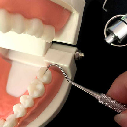 Kit d'Hygiène Dentaire "Elite-Clean" – 7 Cure-Dents en Acier Inoxydable 304 & Étui de Transport
